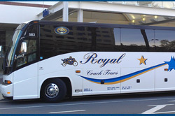 A Royal Coach awaits team players to transport them in style and comfort. A Royal Coach awaits team players to transport them in style and comfort.