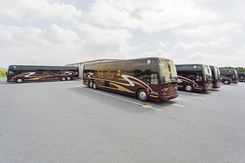 Elite Coach – Dedicated to Customer Satisfaction! featured image