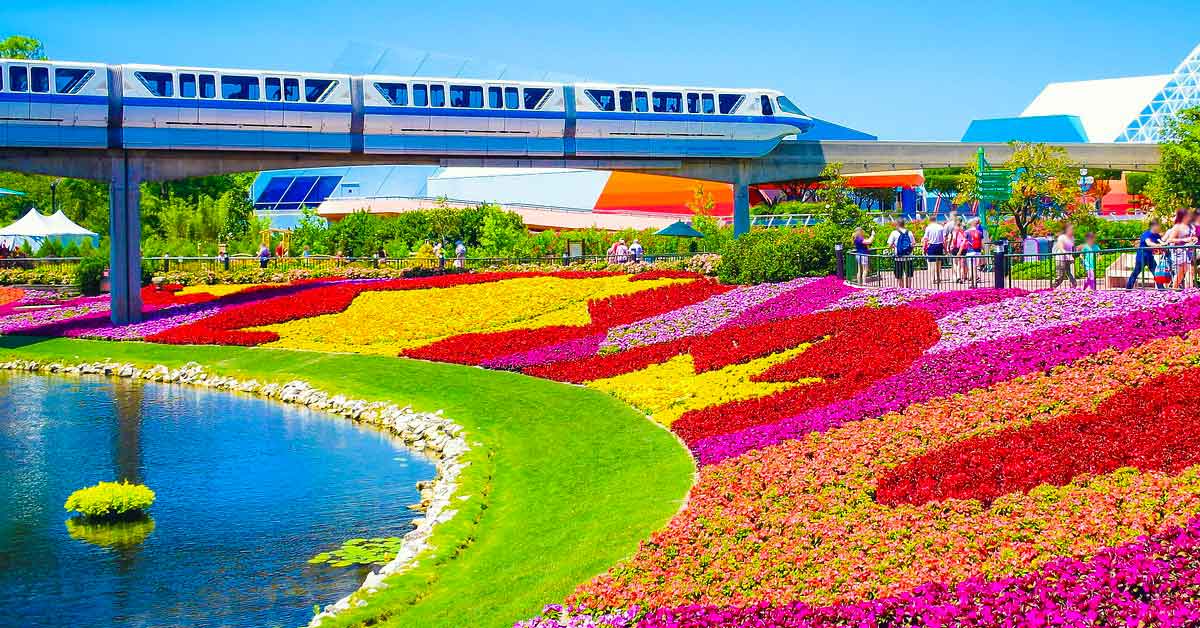 Orlando Carter Bus to theme parks